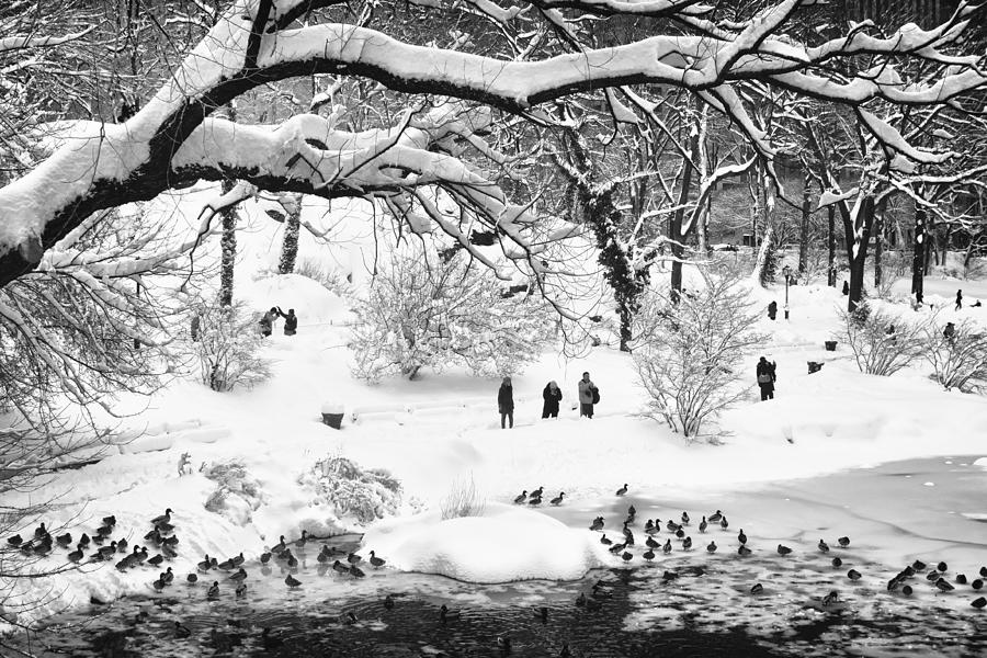 New York City Photograph - Central Park Lake Blizzard by Dave Beckerman
