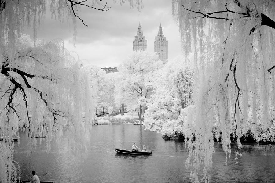 Central Park Lake-infrared Willows Photograph