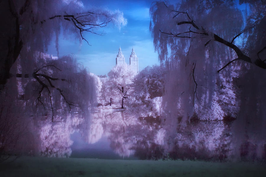 Central Park Photograph - Central Park Lake Willows Color by Dave Beckerman