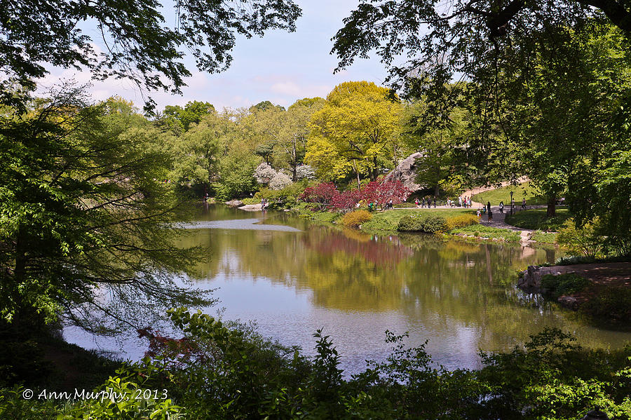 Central Park Landscape Photograph by Ann Murphy