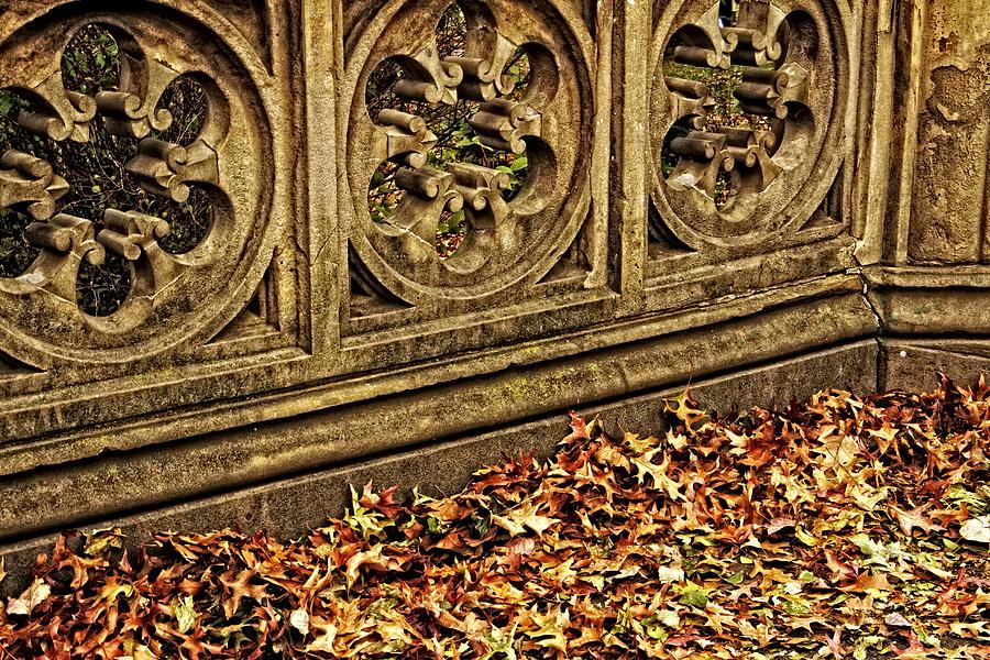 Central Park Leaves Photograph by Alice Gipson