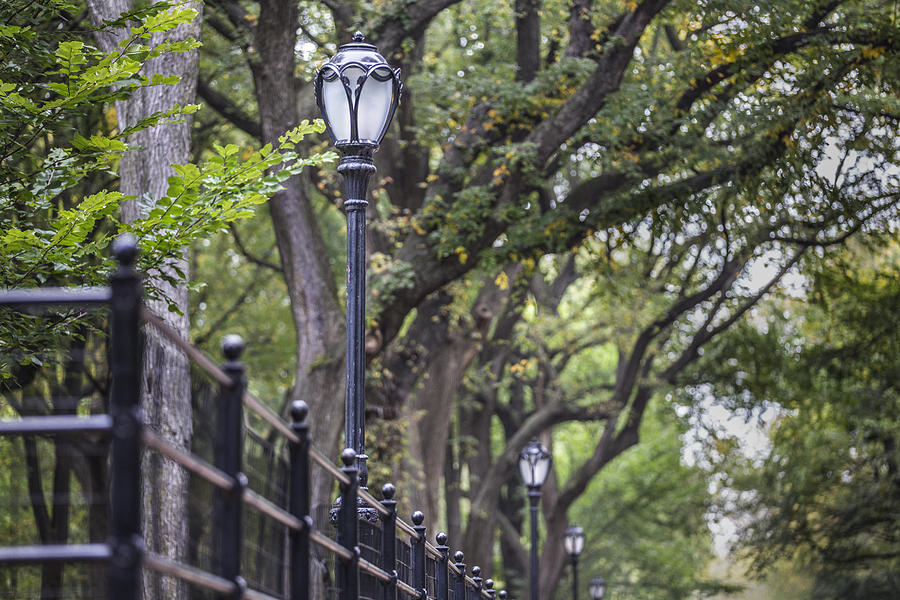 Central Park Light Post Photograph by John McGraw