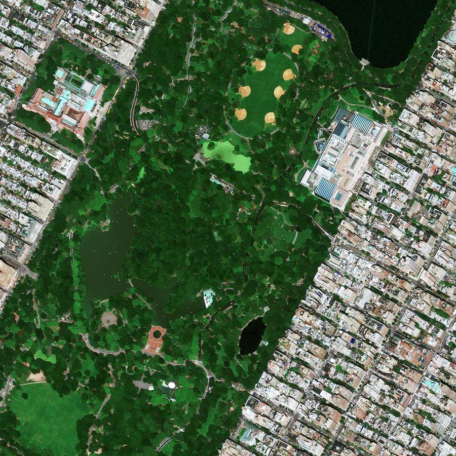 Central Park Museums Photograph by Geoeye/science Photo Library