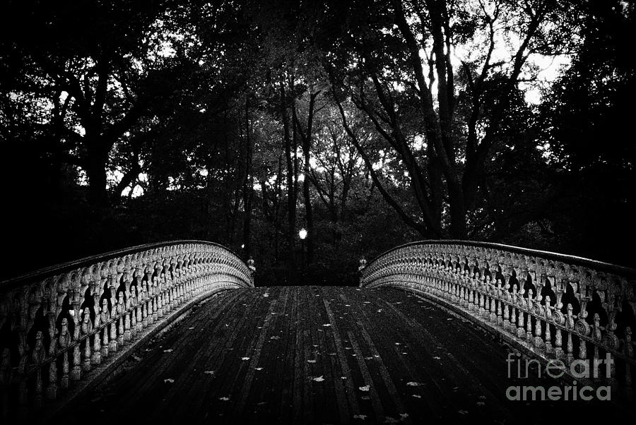 Central Park New York City Photograph