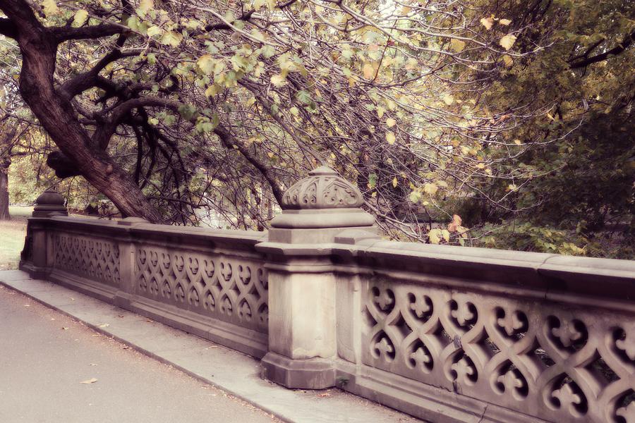 Central Park - New York Photograph by Marianna Mills