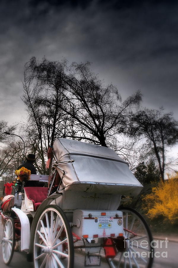 Central Park New York - Romantic Carriage Ride 1 Photograph by Miriam Danar