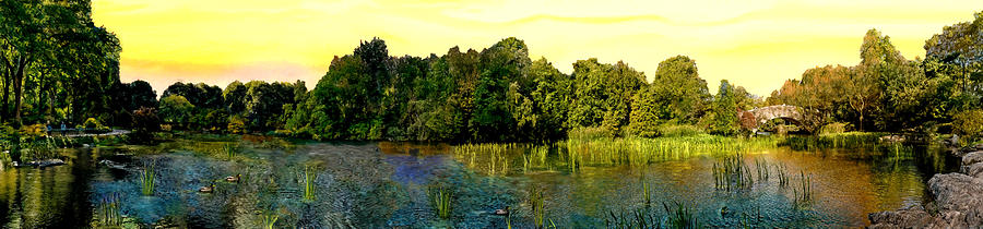 Central Park Painting - Central Park Panorama at Sunset by Bob and Nadine Johnston