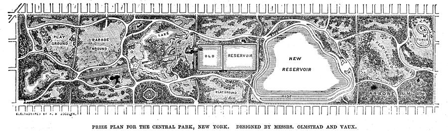 Central Park Plan, 1858 Photograph by Granger