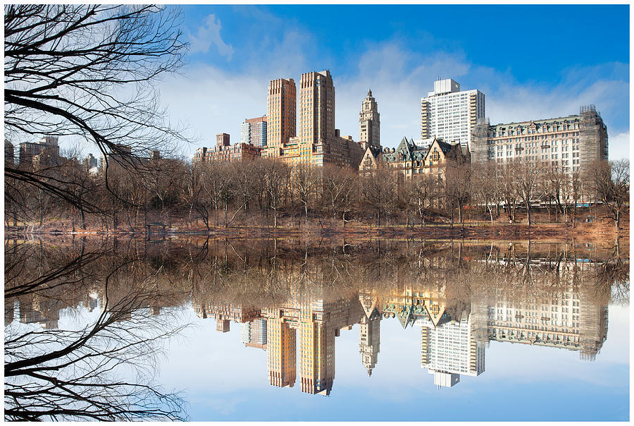 Central Park Reflections Photograph by Tim Reaves