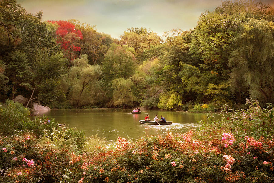 Central Park Rowers Photograph by Jessica Jenney