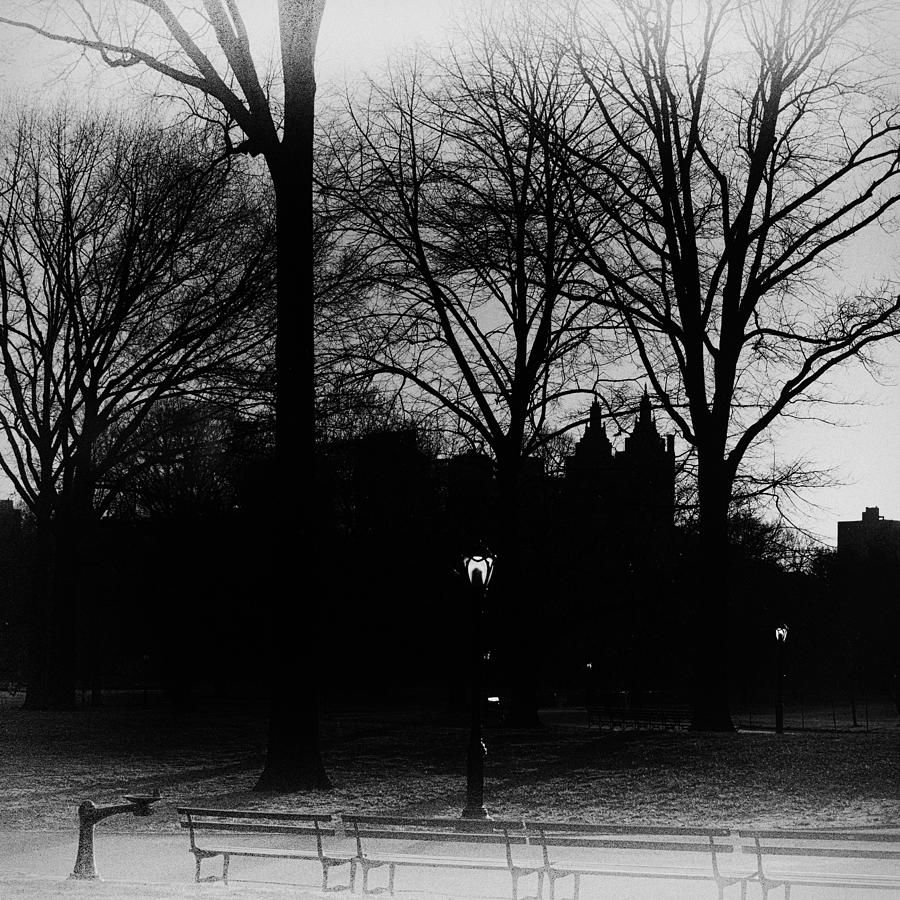 Central Park silhouette in black and white Photograph by Marianne Campolongo