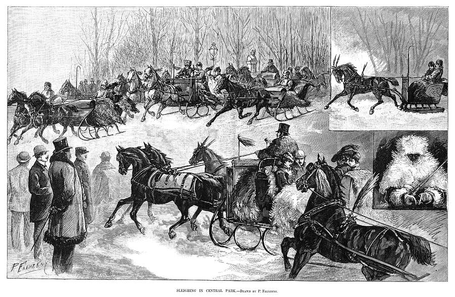 Central Park Sleighing Painting by Granger