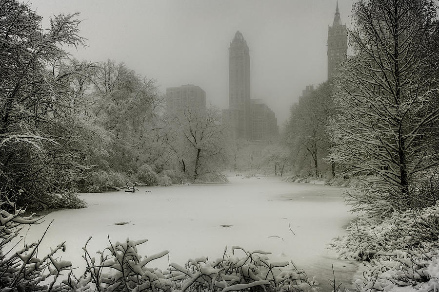 Winter Photograph - Central Park SnowStorm by Chris Lord