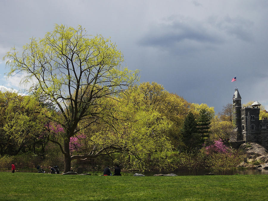 Central Park Spring Greens Photograph by Cornelis Verwaal