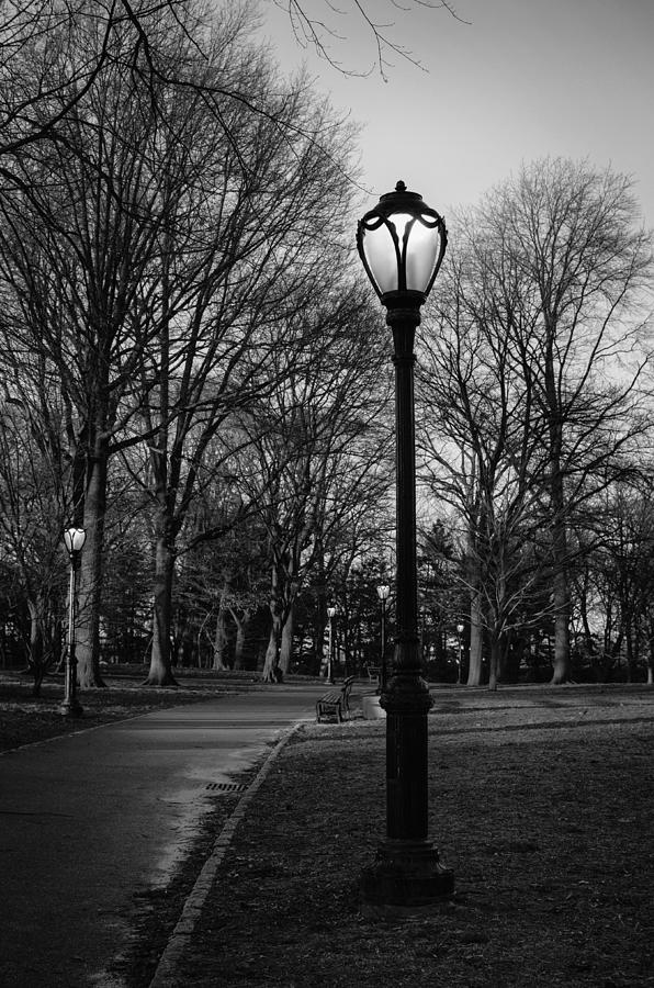 Central Park street lamps in black and white Photograph by Marianne Campolongo