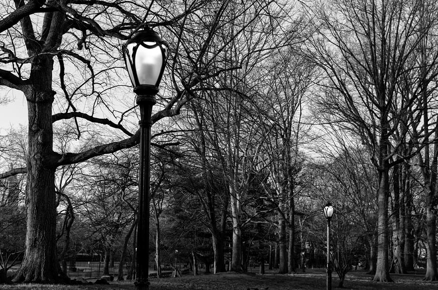 Central Park streetlamps in black and white 2 Photograph by Marianne Campolongo