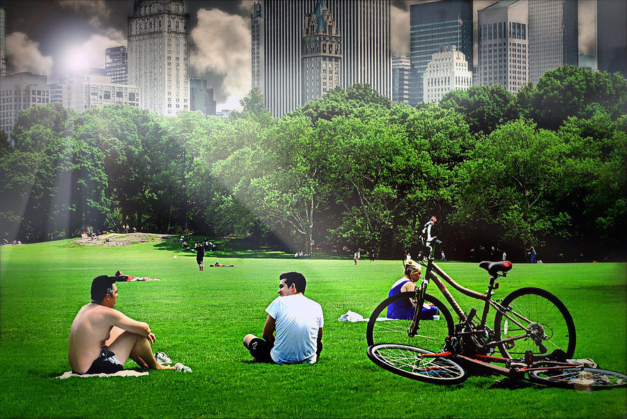 Central Park Summer Photograph by Diana Angstadt