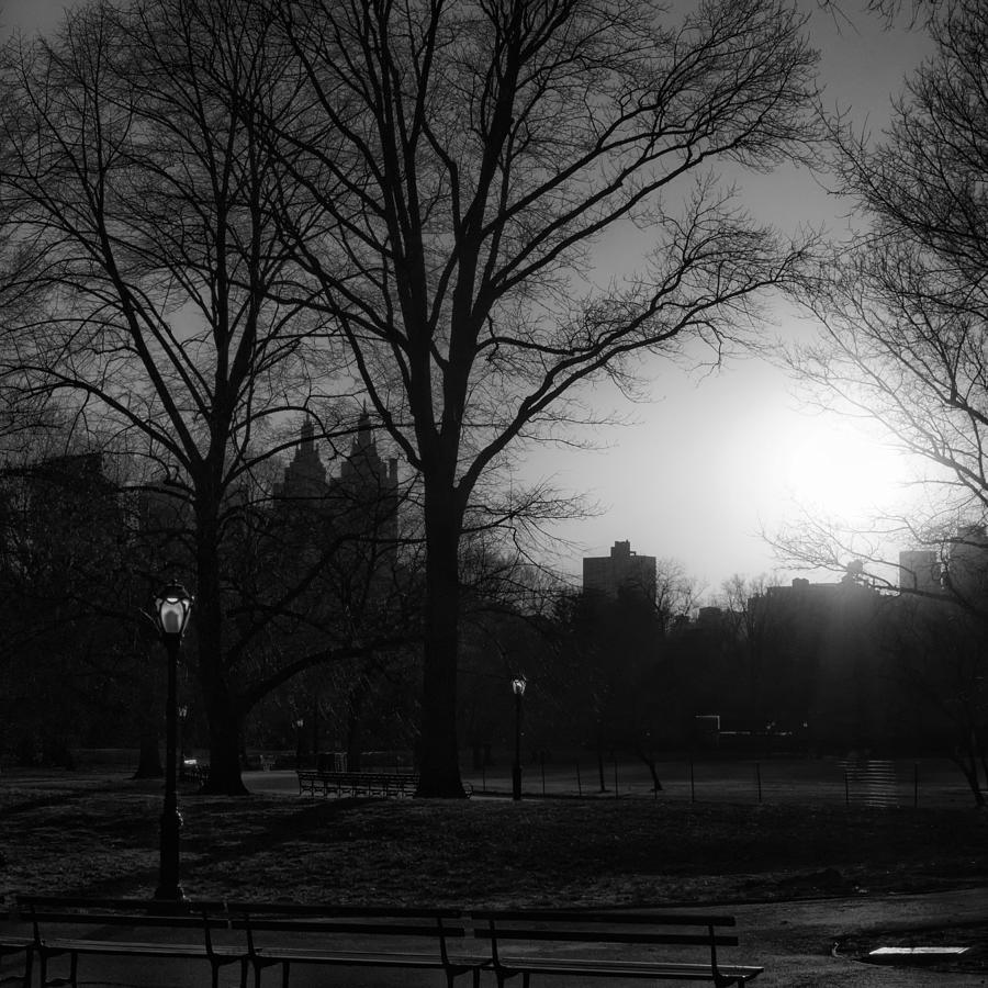 Central Park Photograph - Central Park Sunset in Black and White 3 by Marianne Campolongo