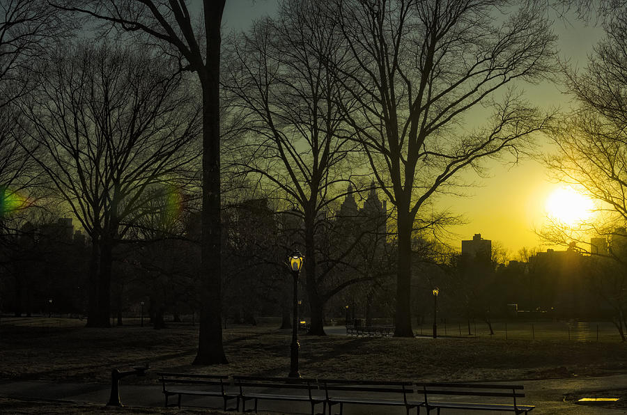 Central Park sunset Photograph by Marianne Campolongo