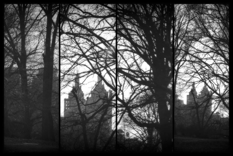 Central Park Tetraptych I Photograph by Marianne Campolongo