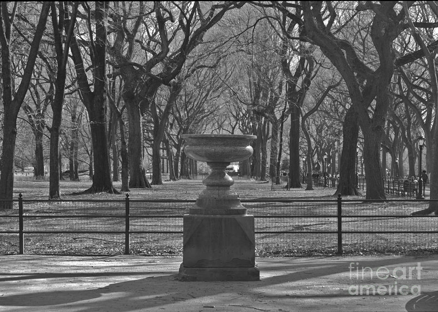 Central Park Urn Photograph by Sean Conklin