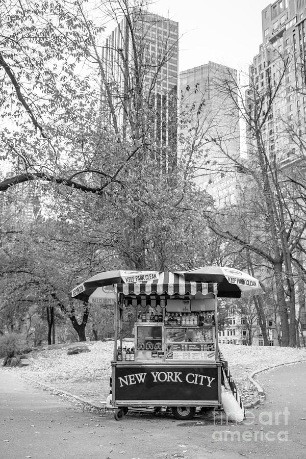 Central Park Vendor Photograph by Edward Fielding