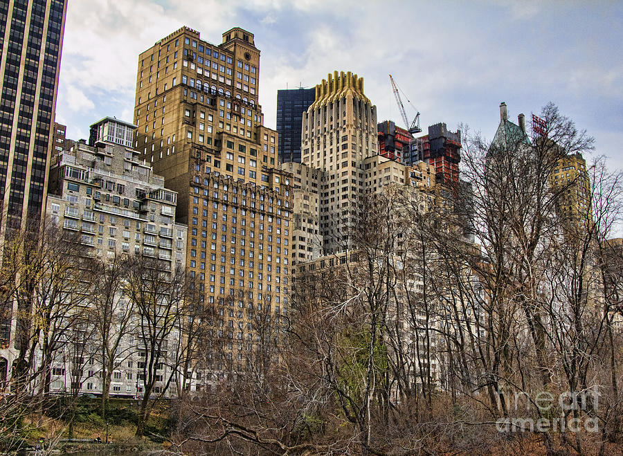 Central Park view color Photograph by Chuck Kuhn