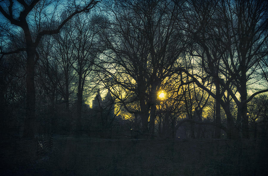 Central Park vintage sunset Photograph by Marianne Campolongo