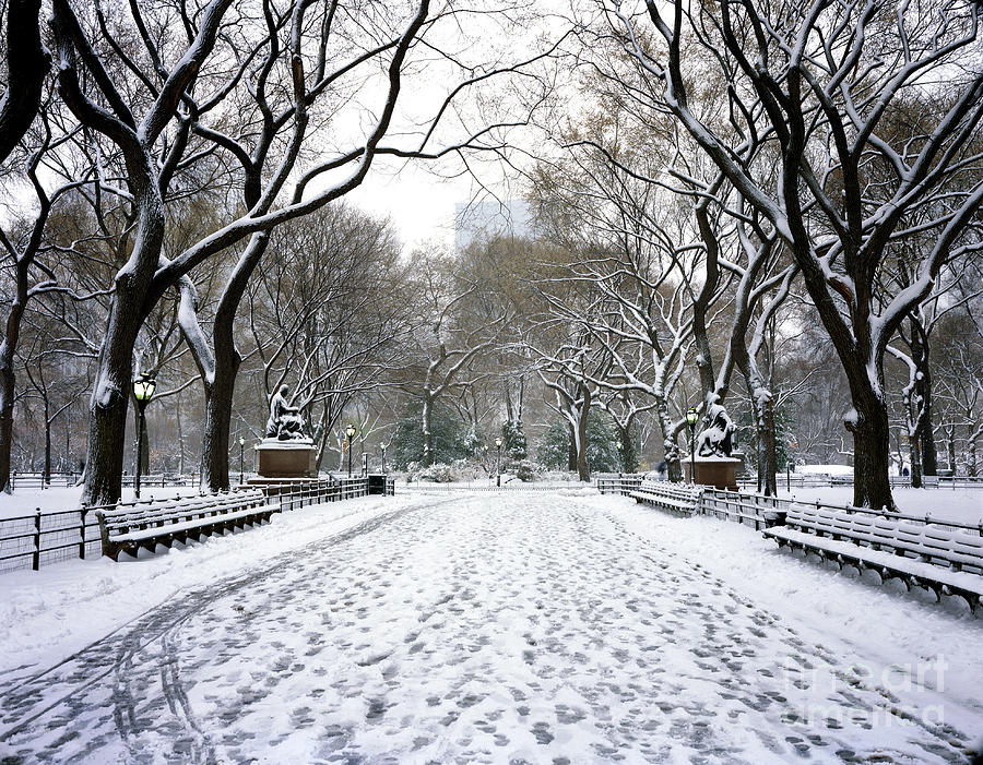 Central Park With Snow NYC Photograph by Rafael Macia