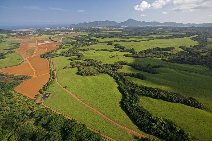 Central Plains Kauai aerial Photograph by Steven Lapkin