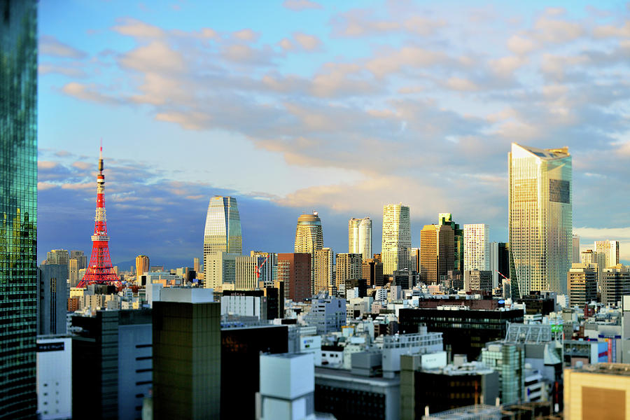Central Tokyo Cityscape Photograph by Vladimir Zakharov