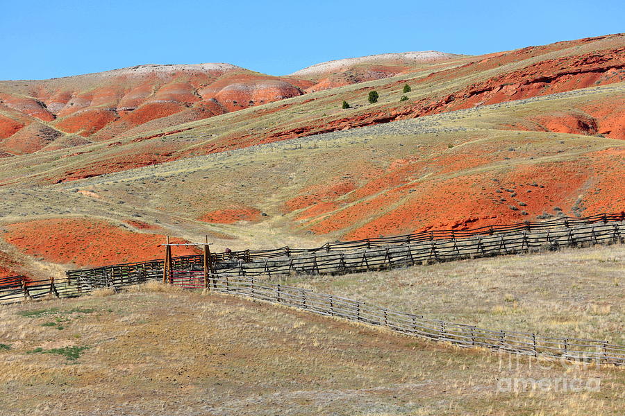 Central Wyoming Hills with Fence Photograph by Carol Groenen