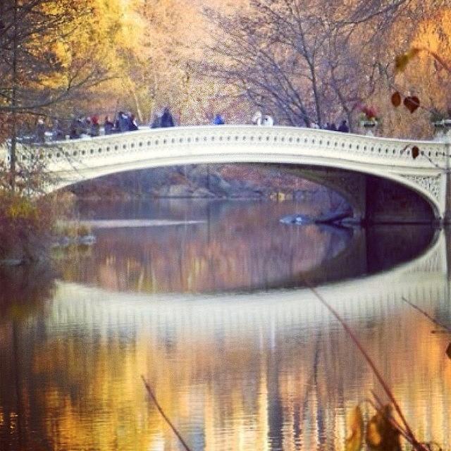 Central Park Photograph - Reflections of Bow Bridge by Picture This Photography