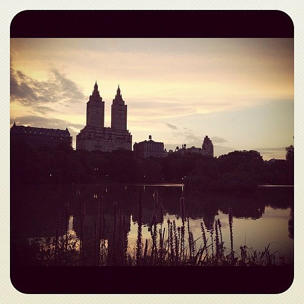 New York City Photograph - #centralpark #nyc by Ece Erduran