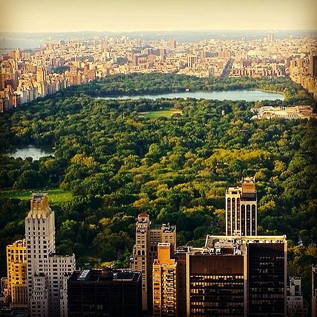 New York City Photograph - #centralpark #view #cityview #park #ny by Picture This Photography