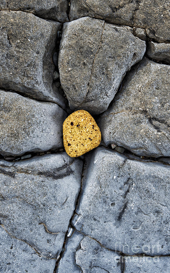Pebbles Photograph - Centre Stone  by Tim Gainey