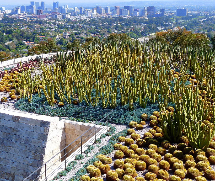 Century City and Cactus Photograph by Jeff Lowe
