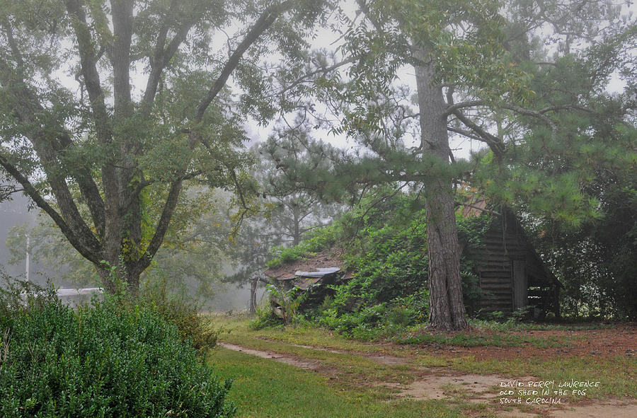 Century-old Shed In The Fog - South Carolina Photograph