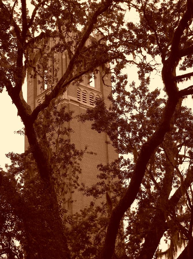 Century Tower Through the Oaks Photograph by Warren Thompson