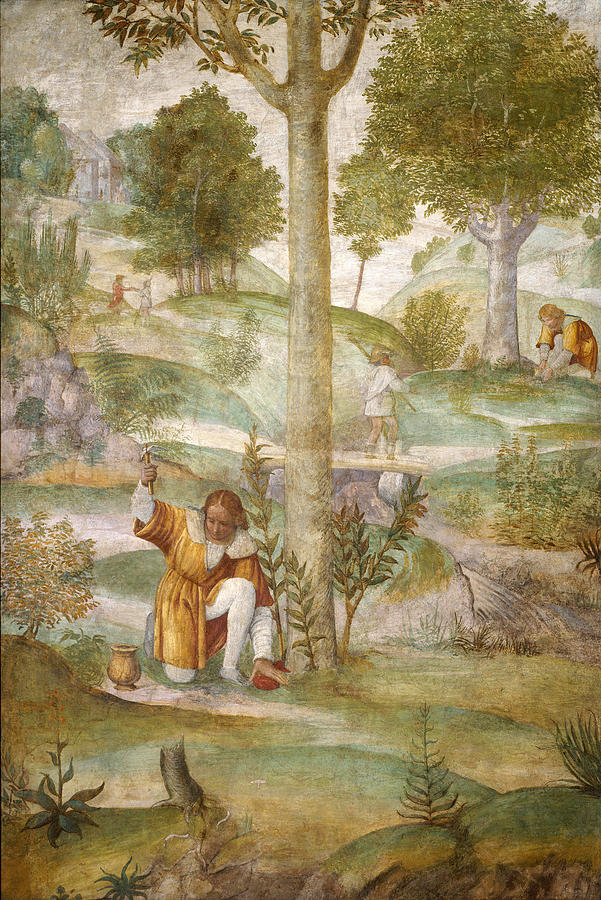 Cephalus Hiding the Jewels Painting by Bernardino Luini