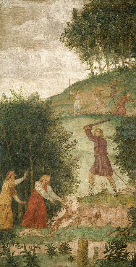 Cephalus Punished at the Hunt Painting by Bernardino Luini
