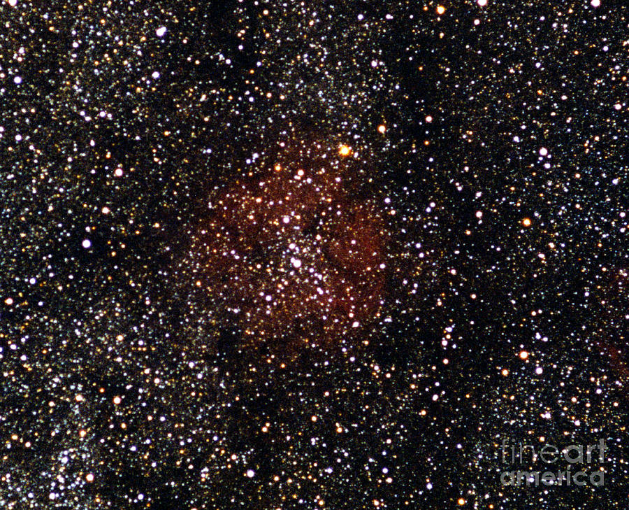 Cepheus And Ic1396 Nebula Complex Photograph by John Chumack
