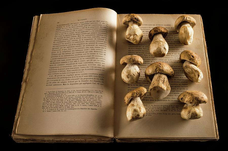 Vegetable Photograph - Ceps Mushrooms On An Open Book by Aberration Films Ltd