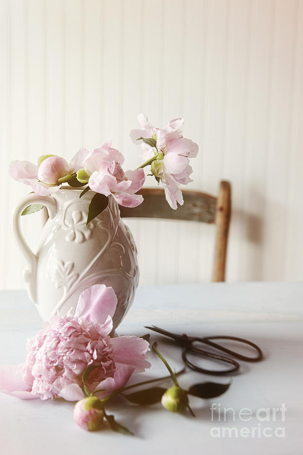 Ceramic vase with peony flowers in kitchen Photograph by Sandra Cunningham