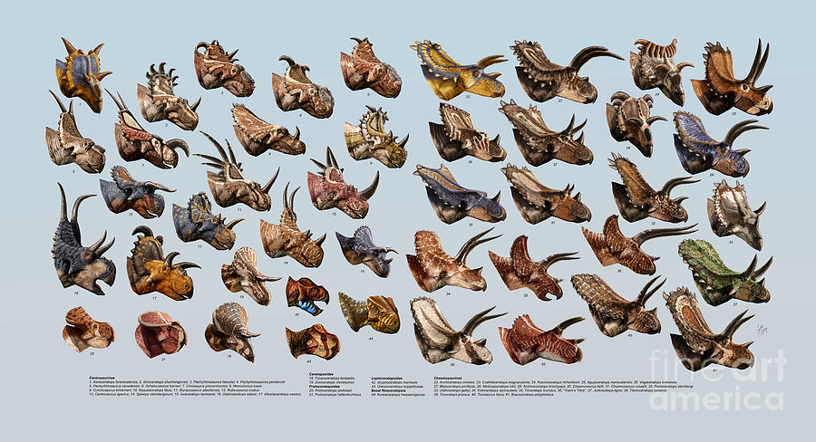 Dinosaur Digital Art - Ceratopsian Cornucopia by Julius Csotonyi