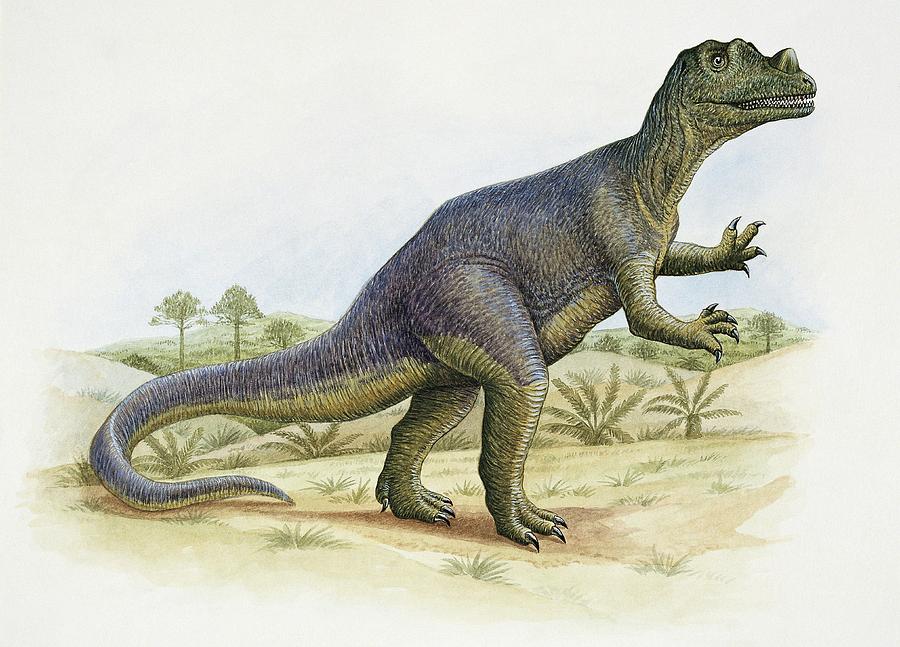 ceratosaurus real