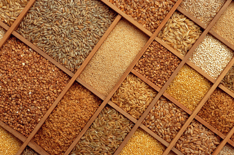 Cereal Grains Photograph by Th Foto-werbung/science Photo Library