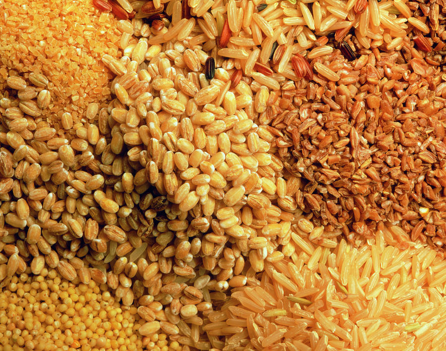 Cereals Photograph by Seth Joel/science Photo Library