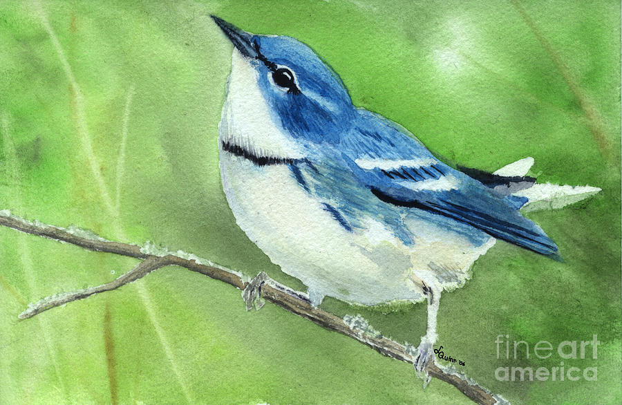 Bird Painting - Cerulean Warbler by Lynn Quinn Bird Painting - Cerulean Warbler by Lynn Quinn