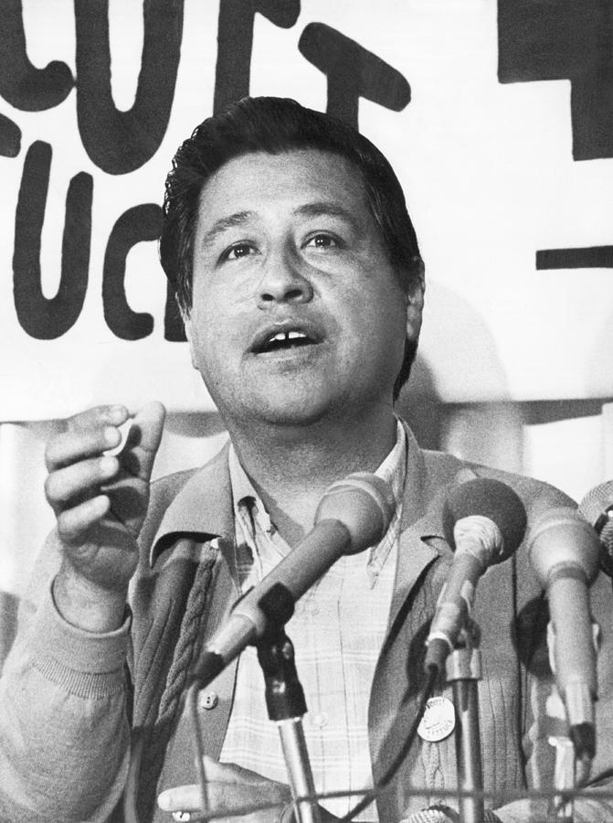 Cesar Chavez Announces Boycott Photograph by Underwood Archives